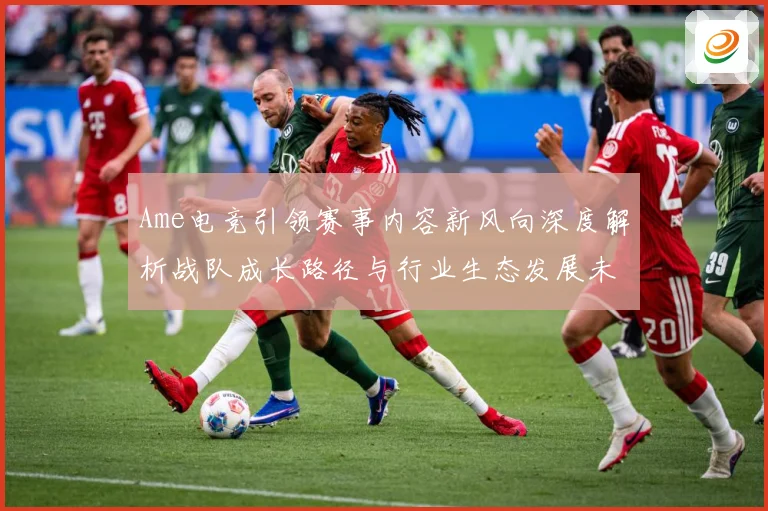 Ame电竞引领赛事内容新风向深度解析战队成长路径与行业生态发展未来趋势观察