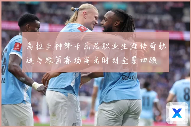 乌拉圭神锋卡瓦尼职业生涯传奇轨迹与绿茵赛场高光时刻全景回顾