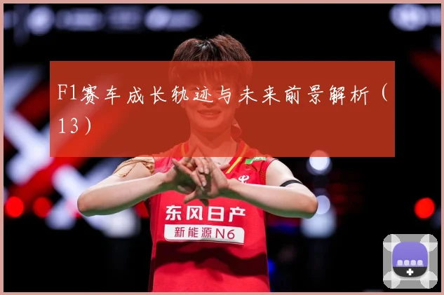 F1赛车成长轨迹与未来前景解析（13）