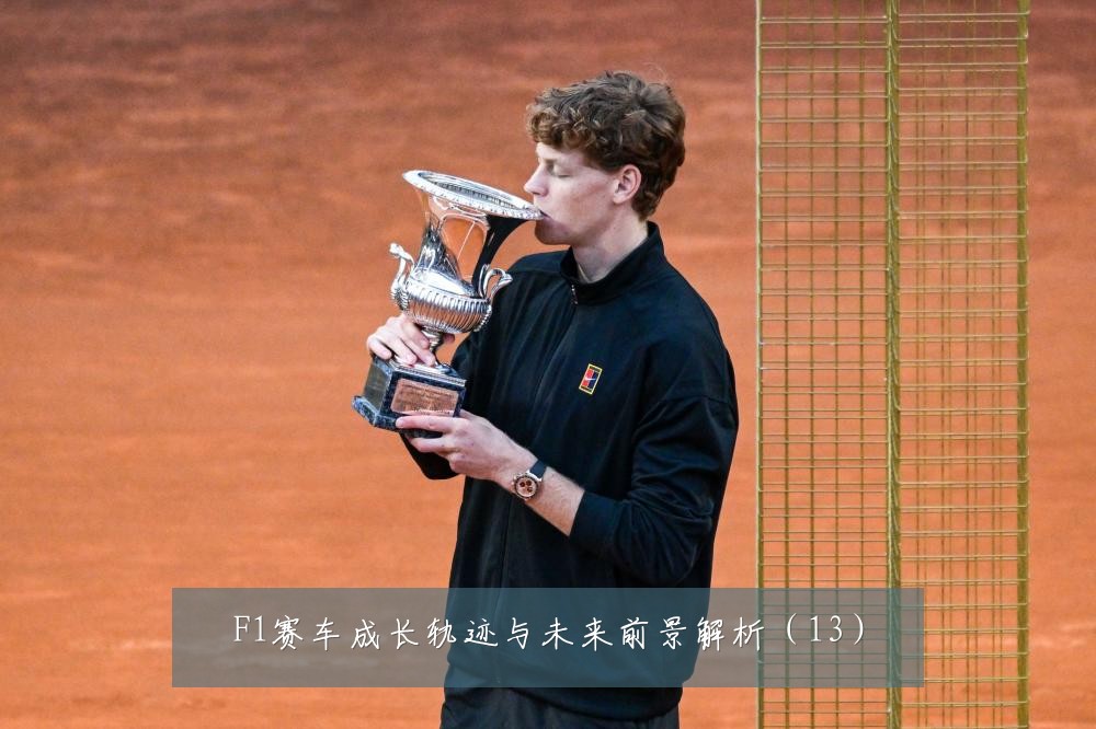 F1赛车成长轨迹与未来前景解析（13）